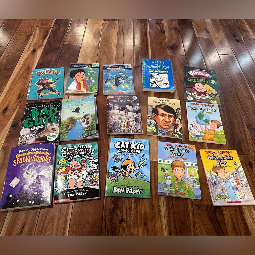 Lot of 15 books cat kid diary of a wimpy kid magic school bus bad guys readyfred